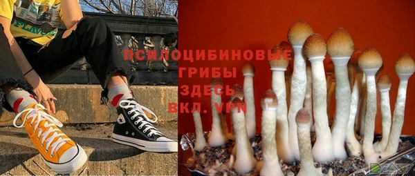 МДМА Ладушкин