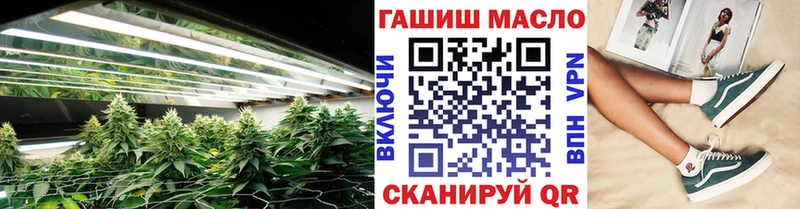 Купить где  Макушино  ТГК гашишное масло 