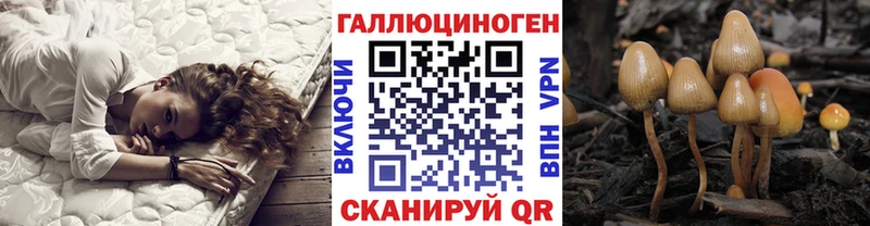 Купить  Макушино  Галлюциногенные грибы MAGIC MUSHROOMS 